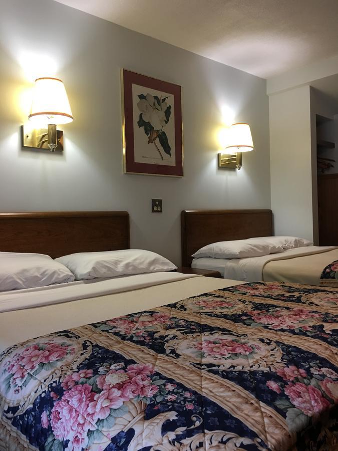 לייק ג'ורג' Barberry Court Motel &Cabins מראה חיצוני תמונה